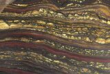 Polished Tiger Iron Stromatolite Slab - Billion Years #222951-1